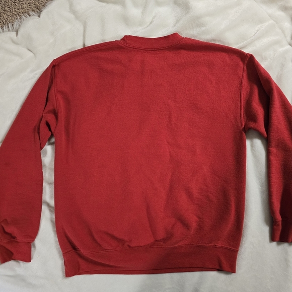 Vintage Illinois state crewneck, size medium - Picture 4 of 4